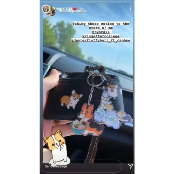 Waterproof Samoyed Bernese Coin Purse Card Pouch Holder - Picture 5 of 12